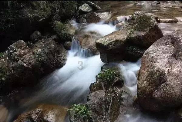 台州新桥镇:一杯热姜茶温暖一寒冬